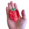 Funny Strawberry Hair Clip,Acetate Hair Clip,Small Claw Clip for Women,Red,