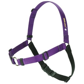 Sense-Ation Harness, No-Pull Dog Harness (Purple, Large Wide