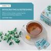 Wissotzky Cool Peppermint Herbal Tea, 20 Tea Bags | Refreshing