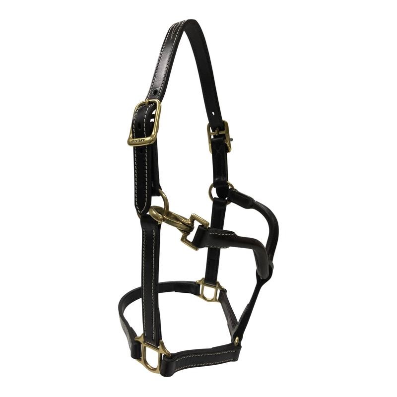 Huntley Equestrian Fancy Stitched Adjustable Premium Leather Pony Halter with