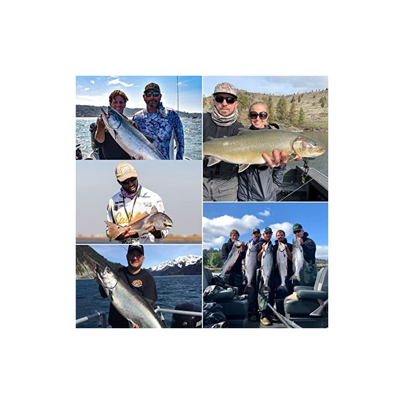 Pro-Cure Crab & Shrimp Attractant, 1/2 Gallon