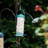 Bird nesting material - 100% pure natural British wool. Soft,