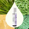Plant Therapy Quiet Cough KidSafe Pre-Diluted Essential Oil Roll-on 10