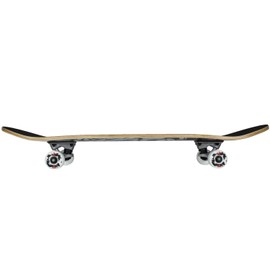 Krown KRRC-49 Bengal Rookie Complete Skateboard, 7.5 x 31