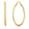 14k Yellow Gold 2mm Thickness Hinged Hoop Earrings (35 x