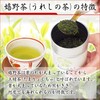 Rice Life Celebration Gift Set, Ureshino Tea, Green Tea, Brown
