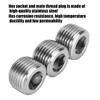 Pack of 3 1/2 Inch NPT Pipe Plugs Stainless Steel