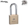 MASTERLOCK Brass Padlock (Long Shackle Type) 576DLH