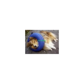 Collar Inflatable PVC Buster Small 1D Cruuse