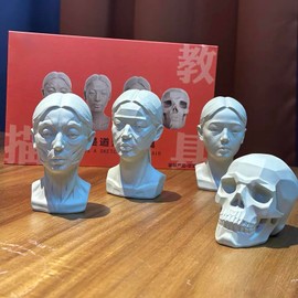 Generic Artists Head Models Mannequin Set, 4 Pieces, Includes Muscle Head, Skull Head, Planar Head & Original Head - Skecthing Drawing Reference (Female)