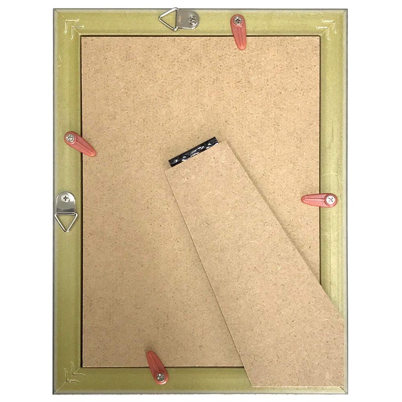 万丈 VANJOH Nフレーム 2009 2L/KG判 ゴールド 105-571