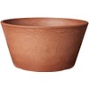 PSW Pot TD25TC Collection Shallow Bulb Pan Planter for Succulents,