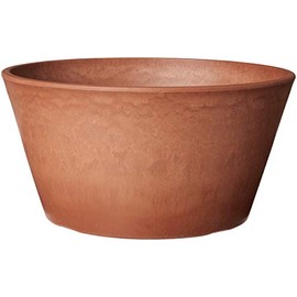 PSW Pot TD25TC Collection Shallow Bulb Pan Planter for Succulents, Bonsai, Fairy Gardens, Herbs, 10-inch, Terra Cotta Color