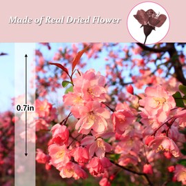 Pressed Dried Cherry Flowers, 60PCS Purple Red Natural Real Dried Pressed Cherry Blossom Flowers, Dry Flowers for Resin DIY Ornament Crafts Candle Making