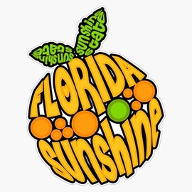 Florida Orange Sticker Decals, Laptop, Home Decoration, Car, Truck, Funny, Tumblr, Motorcycle Helmet, Bumper Sticker, Made in The U.S.A.