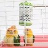 MANON ROSA Bird Cage Heater for Parakeets Chickens Parrots -