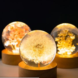 JFTOSALE Dandelion Flower Decorative Ball Night Light - 2.4 Inch Resin Orb Lamp Paperweight with Wooden Base for Home Decor Bedroom Gift (Warm Light)