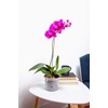 rePotme 3 inch Plant Pots - 6 Pack of Flower