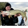 Major Fish Premium Predatory Fish Box Fishing Gift for Fishermen