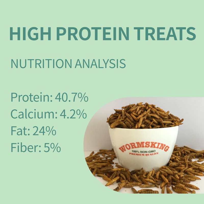 WORMSKING 4LB Non-GMO Dried Black Soldier Fly Larvae, More Calcium