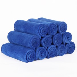 Takumi Cloth Car Wash Towel, Cleaning Cloth, 12 Microfiber Cloths, Small Size, 9.8 x 9.8 inches (25 x 25 cm), Water Absorbent, Quick Drying, Blue