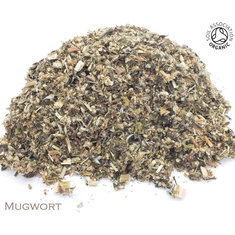 Organic Mugwort Pure Herbal Infusion (25 Unbleached Tea Bags -