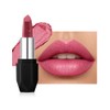 Erinde Lápiz Labial Mate con Purpurina Metálica, Tinte Labial Duradero,A05