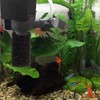 WEAVERBIRD 4PCS Pre-Filter Foam Sponge Roll Aquarium Filter Intake Cover