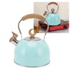 2.5L Whistling Tea Kettle with Handle Stainless Steel Portable Stovetop