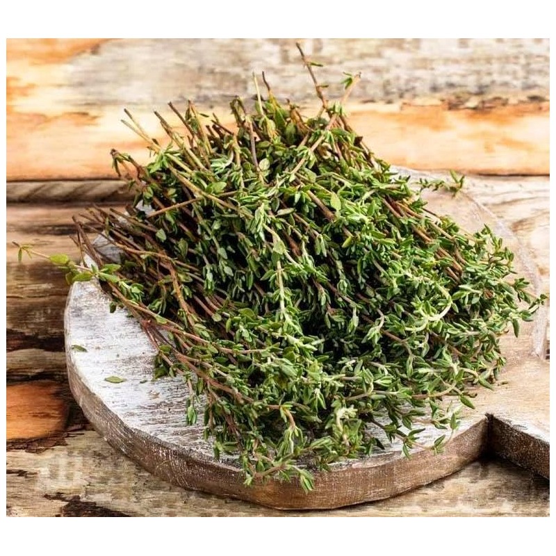 SeedsUP - 500+ Seeds Thyme - Herb Green
