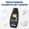 Schauma Anti-Dandruff Shampoo Intensive (400 ml), Hair Shampoo Soothes The