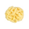Housoutil 1 Pc esponja de algas esponja de mar para