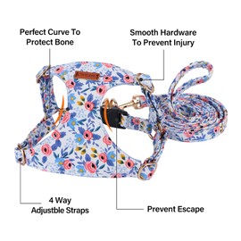 CHEDE No Pull Floral Pattern Dog Harness- Lightweight and Soft Dog Harness, Adjustable Small Dog Harness and Leash Set, with Dog Leash, Suitable for Puppy Small and Medium-Sized Dog (S, Blue Rose)
