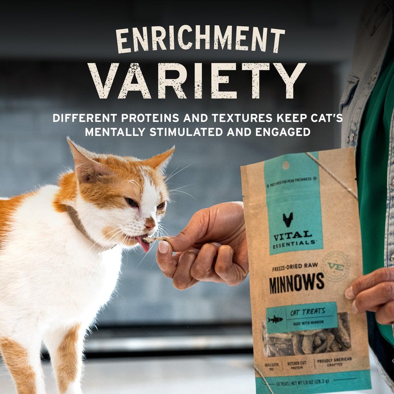 Vital Essentials Minnows Cat Treats, 0.5 oz | Freeze-Dried Raw