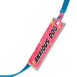 Anxious Dog Bright Neon Pink & Yellow Space Awareness Sleeve for Anxious Nervous Dogs, Reflective, Waterproof, Double Sided Slip-on for the Dog Lead