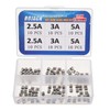BOJACK Christmas Light Fuses Fast-Blow Glass Fuses Assortment Kit 3.6x10mm