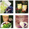 Hion Combo Pack - Green Powder & Purple Powder