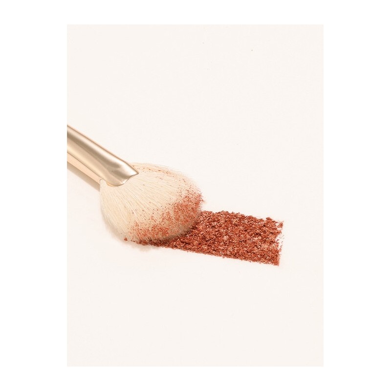 [Best Highlighter] The Tool Lab 160 Blusher Fan / [하이라이터