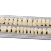 Unbranded 5 Set Dental Acrylic Resin Denture Shade #23 A3