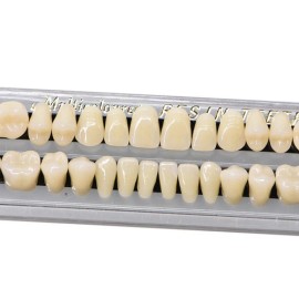 Unbranded 5 Set Dental Acrylic Resin Denture Shade #23 A3 Upper Lower Full Set (140PCS)