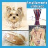 Bandas Elásticas para el Cabello Duraderas,Mini Bandas de Goma Negro&Blanco