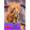 Squirrel Animal Valentines Day Card