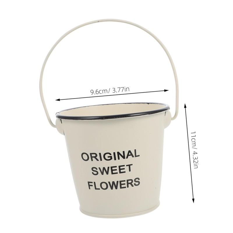 BESPORTBLE 1pc Chic Small Iron Bucket Creative Flower Container Versatile