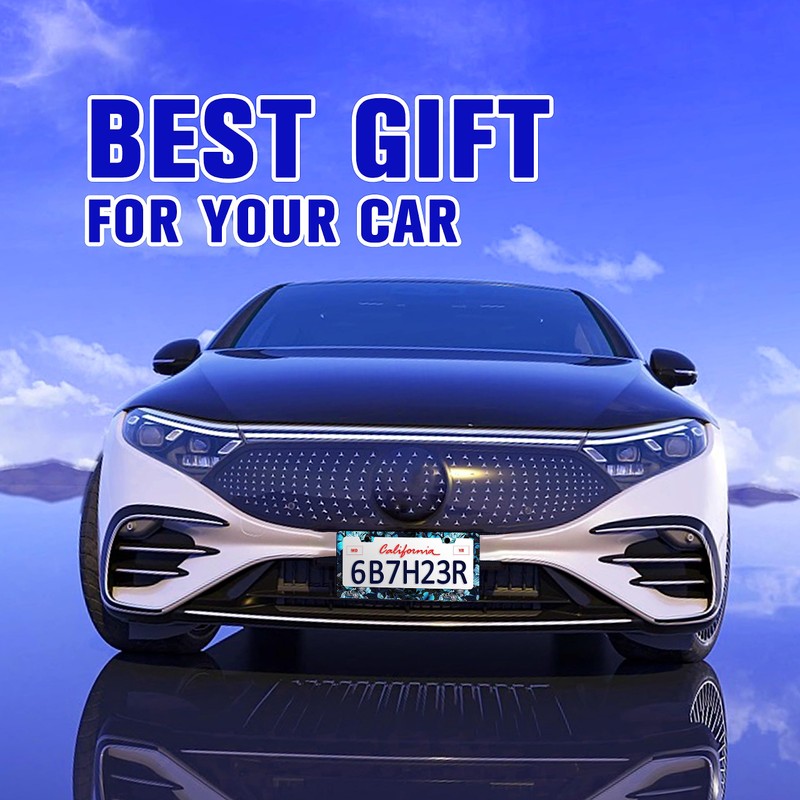 Blue Butterfly License Plate Frame Animal Insect License Plate Frames