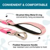 Max & Molly Classic Dog Leash, Comfort Grip Handle, Durable