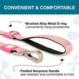 Max & Molly Classic Dog Leash, Comfort Grip Handle, Durable & Strong Neoprene Fabric, Brushed Silver Hardware, Secure Easy Attach Snap Hook, Upper D-Ring for Accessories, Machine Washable