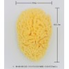Natural Sea Sponge Body Sponge L