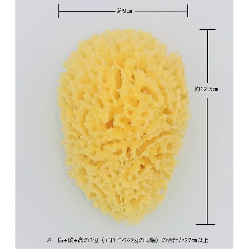 Natural Sea Sponge Body Sponge L