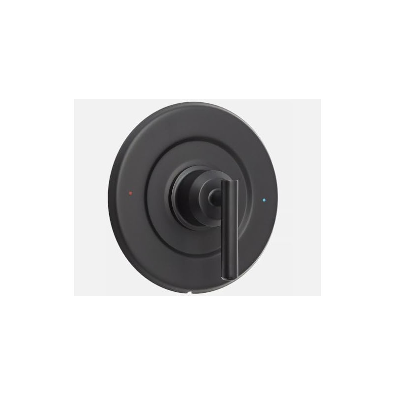 T2901BL Matte Shower Trim Kit with Lever Handle for Moen