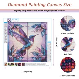 Auremi 4 pcs 5D Diamond Painting Kits, Hummingbird Diamond Art Painting Kits for Adults DIY Full Drill Animal Diamond Dots Crystal Craft Kits for Home Wall Decor Gifts 11.8x11.8 inch